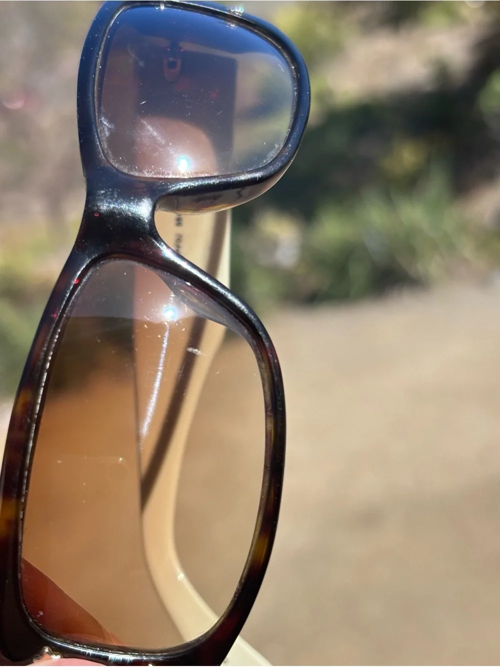 Marc by Marc Jacobs Brown Gradient Lenses with Cream Arms Sunglasses